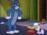 猫和老鼠第九十二集