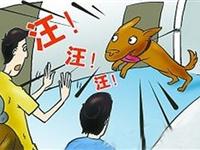 为什么够会对陌生人叫