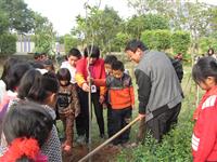 Planting Trees 