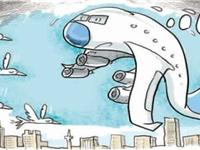 为什么鸟儿能把飞机撞坏