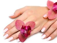 为什么指甲剪掉后还会再长