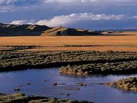 沼泽地是如何形成的