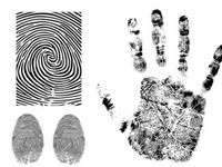 为什么每个人的指纹都不一样