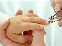 为什么剪指甲不会疼