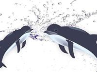 为什么宽吻海豚特别聪明