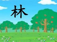 巧虎学汉字第十四集