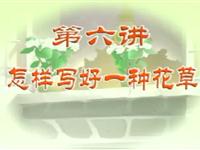 06怎样写好一种花草