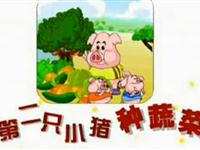 第二只小猪种蔬菜09