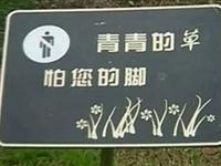 巧虎学汉字第二十一集