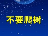 第12讲  为什么不要爬树 