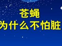 第15讲  为什么苍蝇不怕脏 