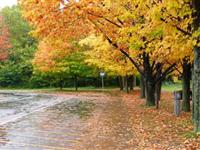 为什么说加拿大是“枫叶之邦”