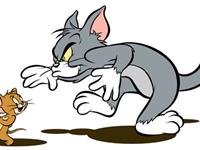 为什么猫喜欢吃鱼和鼠