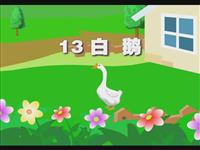 《白鹅》课文朗读动漫