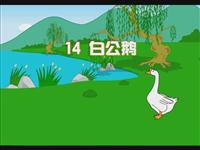 《白公鹅》课文朗读动漫