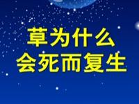 第16讲  草为什么会死而复生 