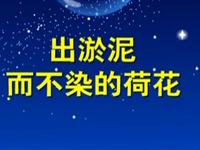 第17讲  出淤泥而不染的荷花 