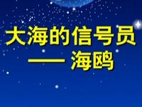 第23讲  大海的信号员海鸥 
