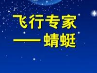  第29讲  飞行专家蜻蜓