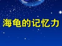 第35讲  海龟的记忆力 