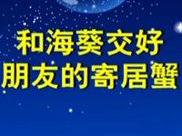 第39讲  和海葵交好朋友的寄居蟹 