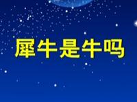 第51讲  犁牛是牛吗