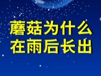 第58讲  蘑菇为什么在雨后长出 