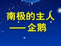 第59讲  南极的主人企鹅 