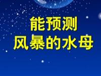 第60讲  能预测风暴的水母 