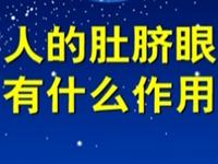第67讲  人的肚脐眼有什么作用 
