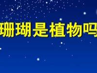  第71讲  珊瑚是植物吗