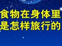 第75讲  食物在身体里是怎样旅行的 
