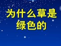 第86讲  为什么草是绿色的 