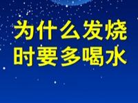 第90讲  为什么发烧时要多喝水