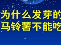 第91讲  为什么发芽的马铃薯不能吃 