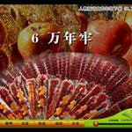 《万年牢》课文朗读动漫