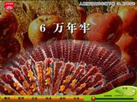 《万年牢》课文朗读动漫