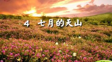 《七月的天山》课文朗读动漫