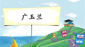 《广玉兰-1》教学PPT