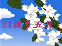 《槐乡五月》课文朗读动漫