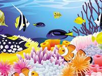 为什么鱼要大量产卵