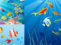 为什么鱼儿睁着眼睛睡觉