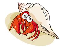 为什么寄居蟹要背螺壳