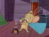 猫和老鼠第一集