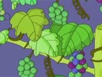  第125讲  小蜗牛背上的房子有什么用