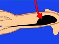 第119讲  乌贼为什么会喷墨 