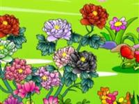  第87讲  为什么称牡丹为花中之王