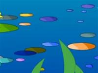 第36讲  海中魔术师管鳗 