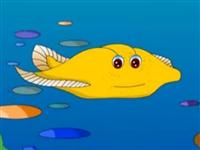 第6讲  比目鱼的眼睛为什么长在一侧 