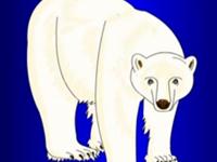 第3讲  为什么北极熊不怕冷 